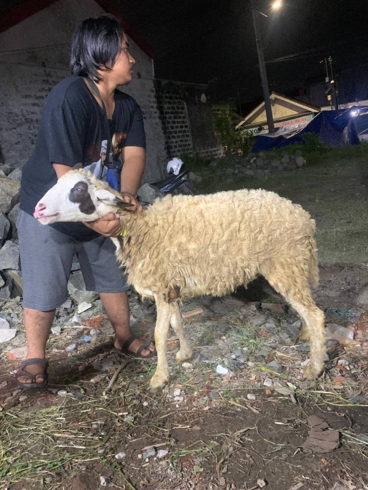 Foto Kurban